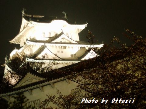 土曜日は桜・酒・桜・酒…合間に写真