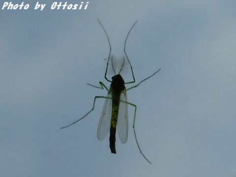 車内に闖入者が…