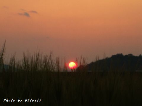夕景三題