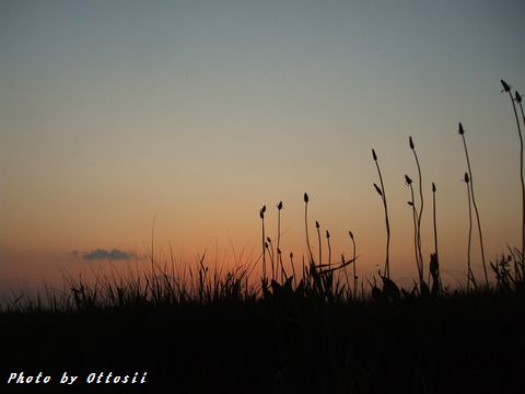 夕景三題