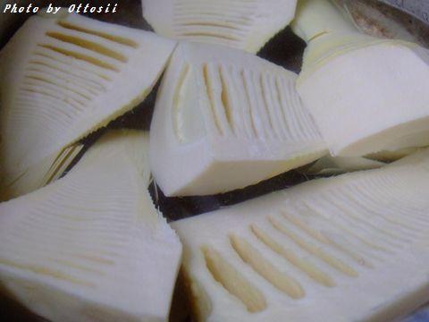 筍の船が着いた～