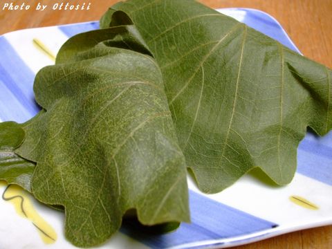 一年が経ちました