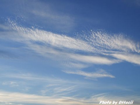 巻積雲、かな？
