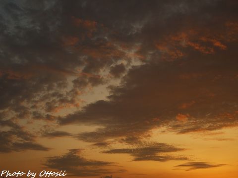 秋は夕暮れ　播州弁