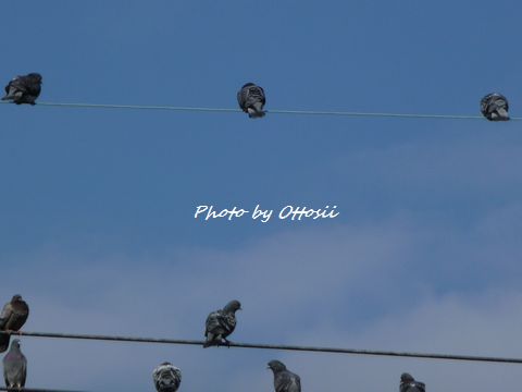 ごにょごにょ