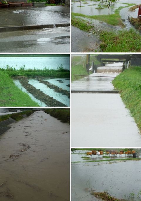 大雨洪水警報