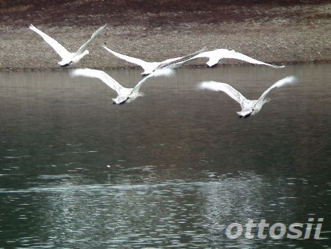 立つ鳥跡を・・・