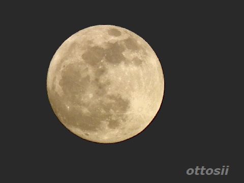 綺麗なお月さま