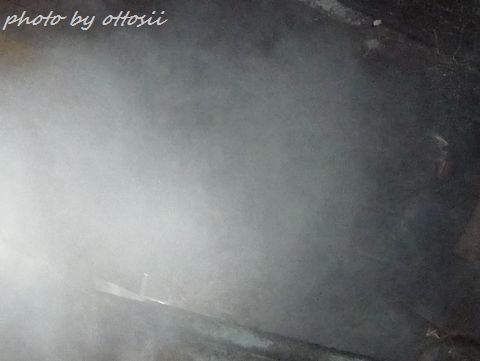 蜂の巣駆除