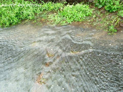 溢水（いっすい）