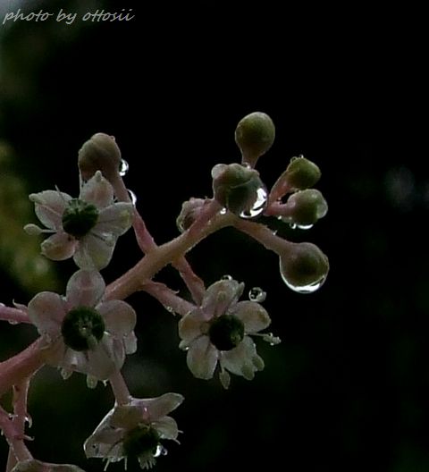 雨の日の