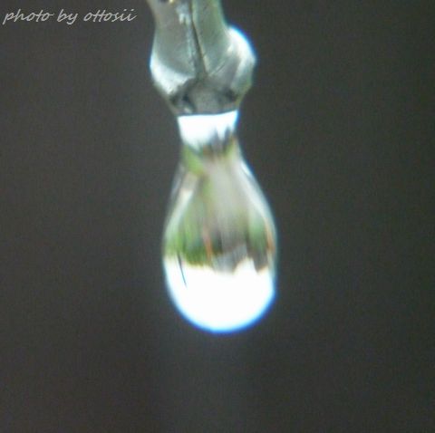 雨の日の②