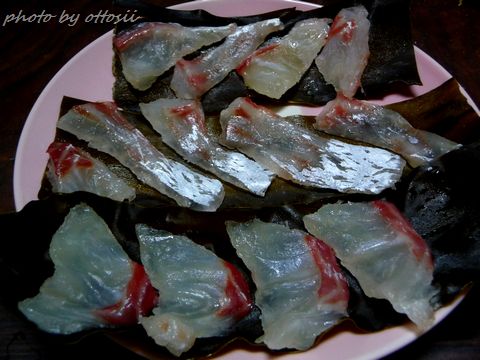 娘チャンの作った鯛の昆布〆