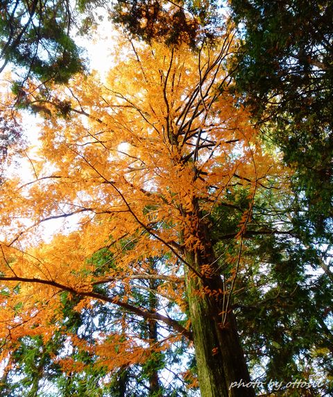 昨日見たもの