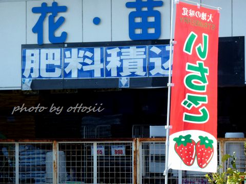 いさご
