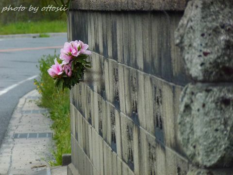ブロック塀から