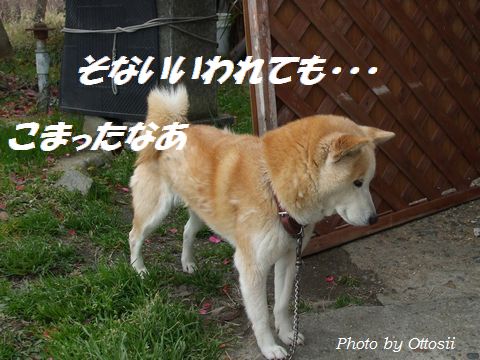 となりのポチ（仮名）との会話