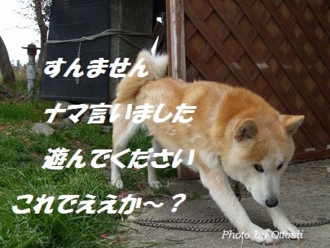 となりのポチ（仮名）との会話