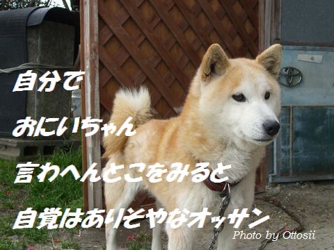 となりのポチ（仮名）との会話