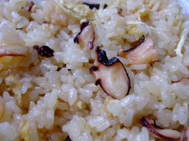 タコ飯のおみやげ