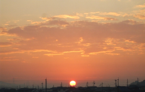 曙光081203