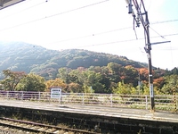 磐梯熱海温泉　金蘭荘花山　－４　（10/24）