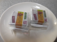鳥取砂丘を訪ねて　2015.8　－１