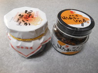 鳥取砂丘を訪ねて　2015.8　－１