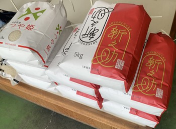 今月の頒布米、店頭にて、限定販売！
