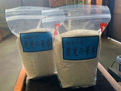 今月11月の頒布会のお米は、「鹿児の華米」
