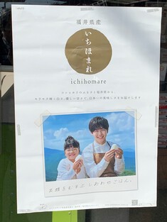 「福井県福井市産　特別栽培米　新米　いちほまれ」も発売中！