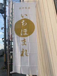「福井県福井市産　特別栽培米　新米　いちほまれ」も発売中！