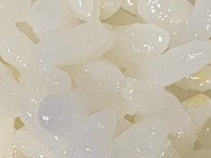 １１月の頒布会のお米は、新登場「滋賀県産　にじのきらめき」です！