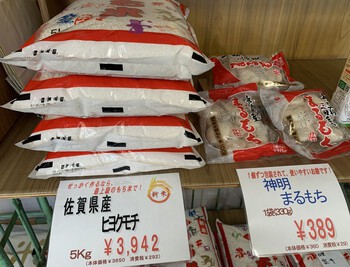 令和6年産佐賀ヒヨクモチ、販売中です！