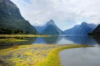 自然豊かな国ニュージーランドのドメイン！