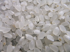 ”徳島県産　新米　コシヒカリ”入荷しました！