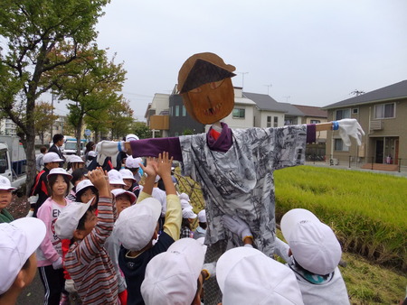 別府西ブランド米、収穫！！