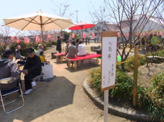 町内会の「さくら祭り」