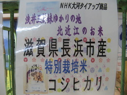 NHK大河「江」ゆかりの地、北近江のお米