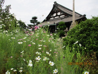 亀山 本徳寺