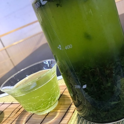 『水出し茶』の季節到来！