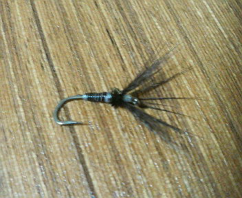 テンカラ　逆さ毛鉤