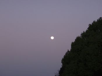 朝の月