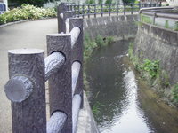 お米がおいしい