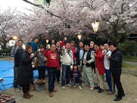 花見例会