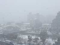 東京も雪