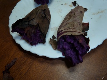 紫芋の