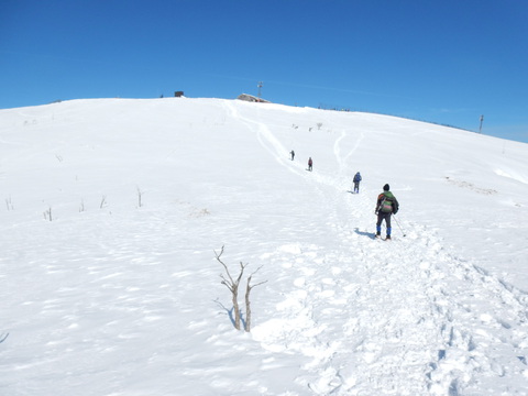 雪の蓬莱山