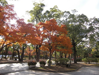 姫路城周辺の紅葉