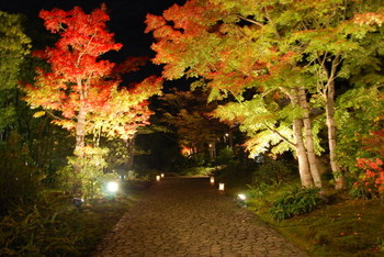 姫路城西御屋敷跡庭園　好古園の紅葉